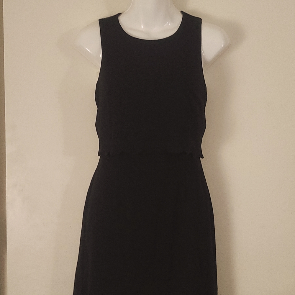 Ann Taylor Dress